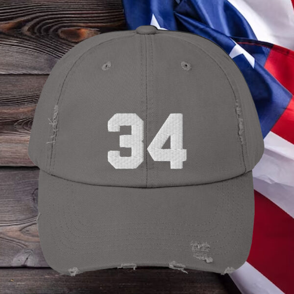 Trump is a Felon Convicted 34 Times Hat